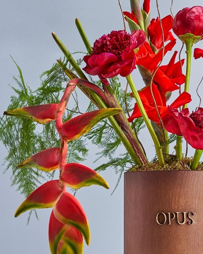 About Magnum opus