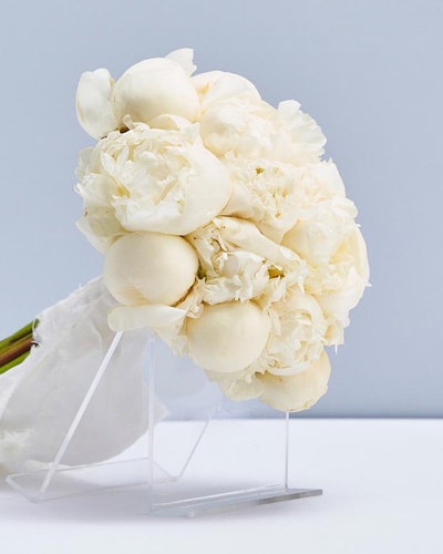 Special Event Management, Wedding Arrangement