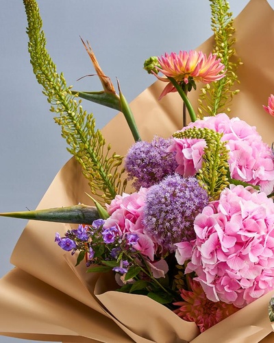 Make your occasion worthy by giving a try to Opus 
