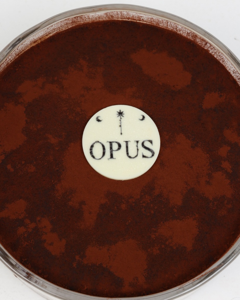 Cocoa Drenched Tiramisu 