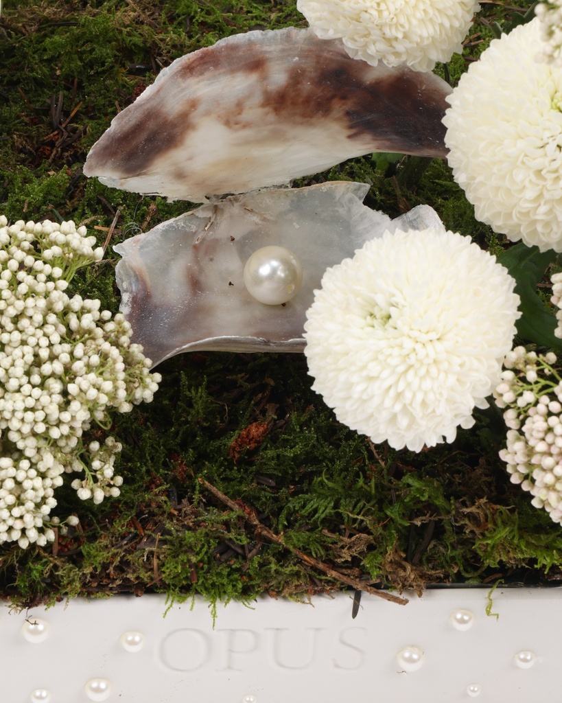 Lulu | Garden of Pearls 