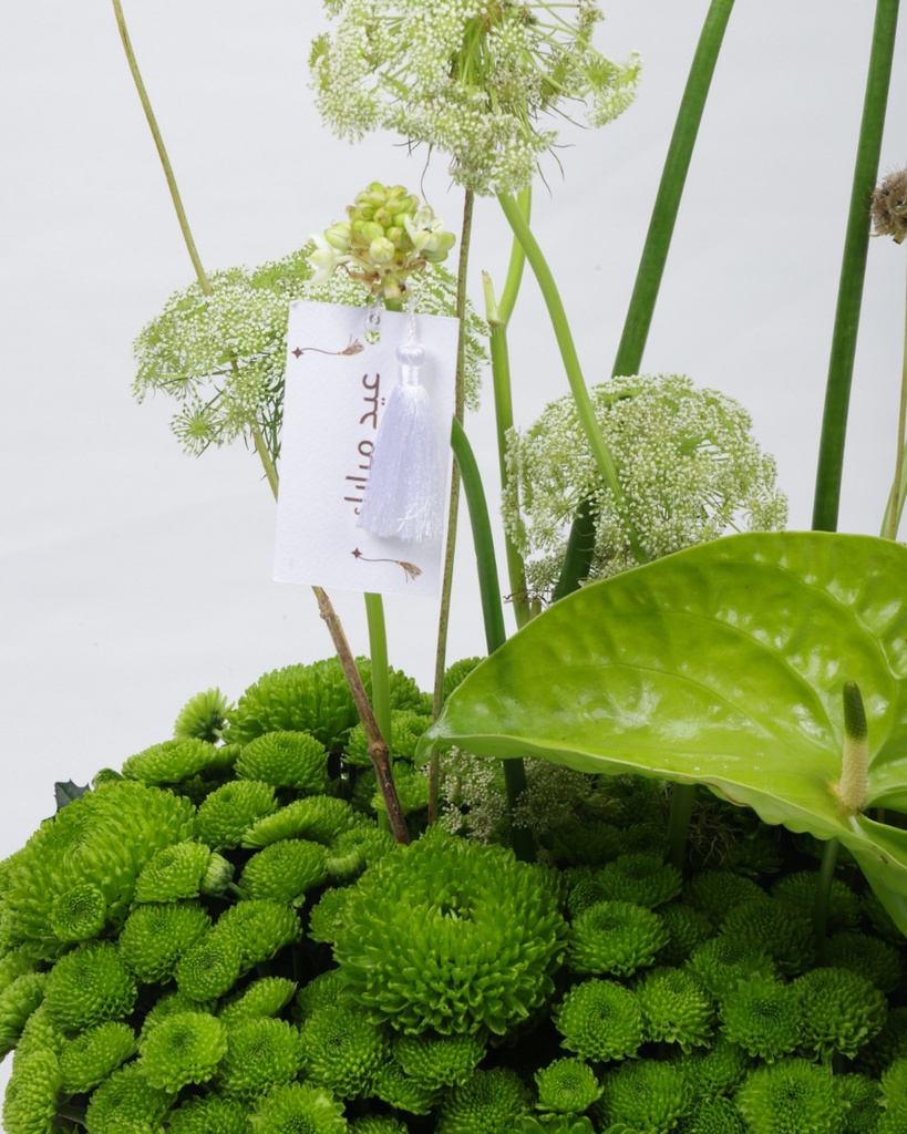 Sandstone - Tray Low