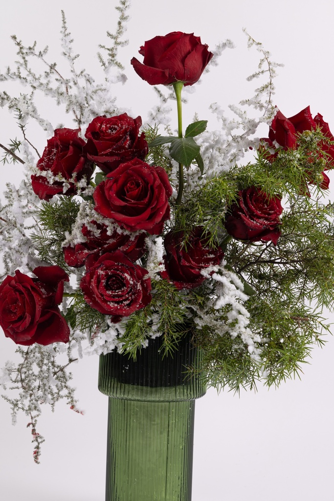 Snowy Roses
