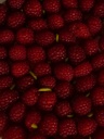 Pistachio Raspberry Cake