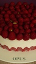 Pistachio Raspberry Cake