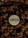 Délice de Chocolat