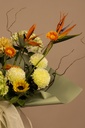 Calista