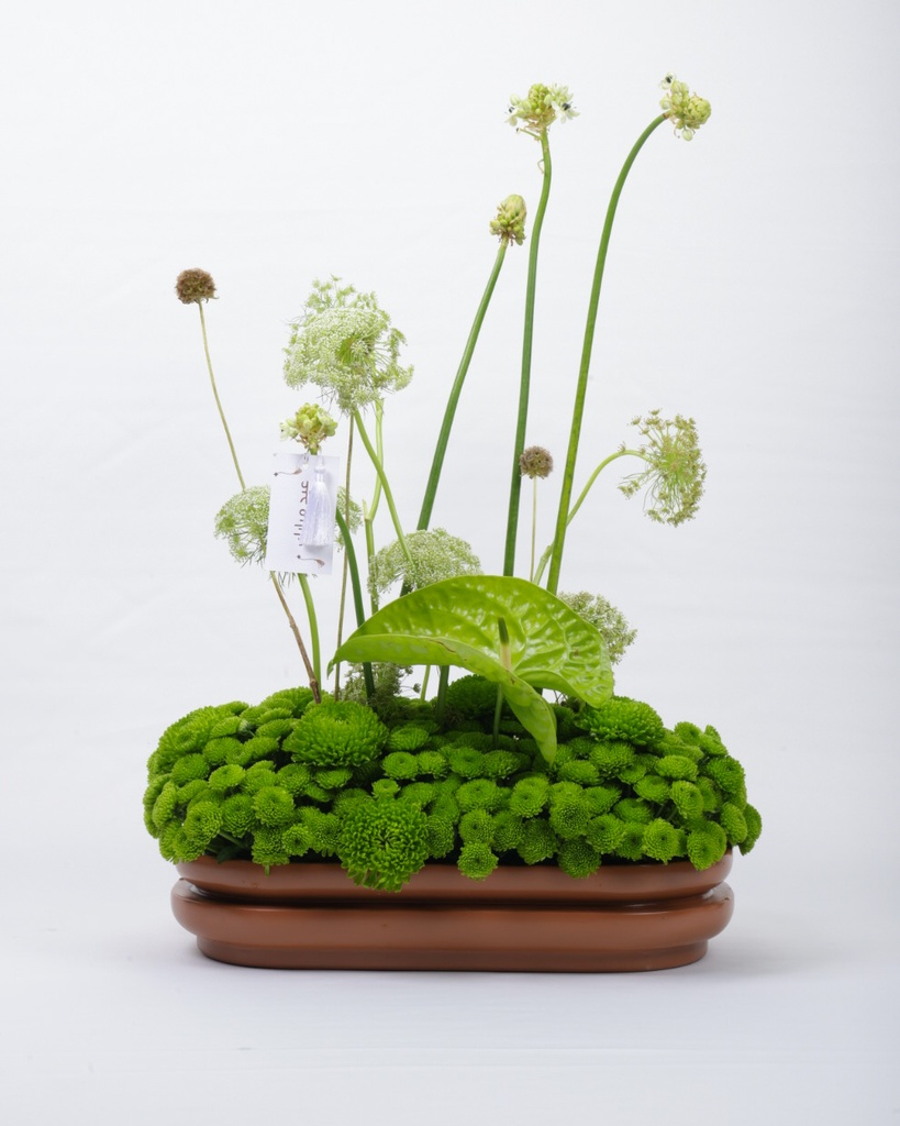 Sandstone - Tray Low