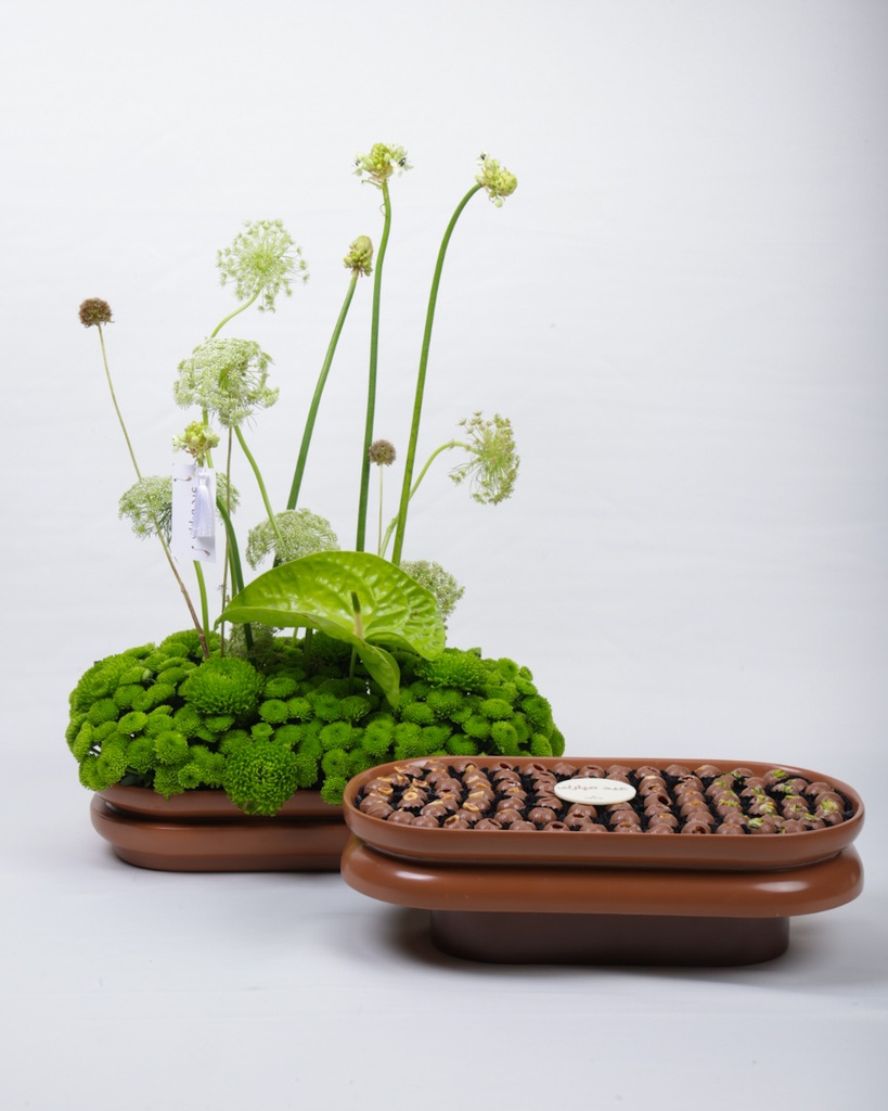 Sandstone - Tray Set