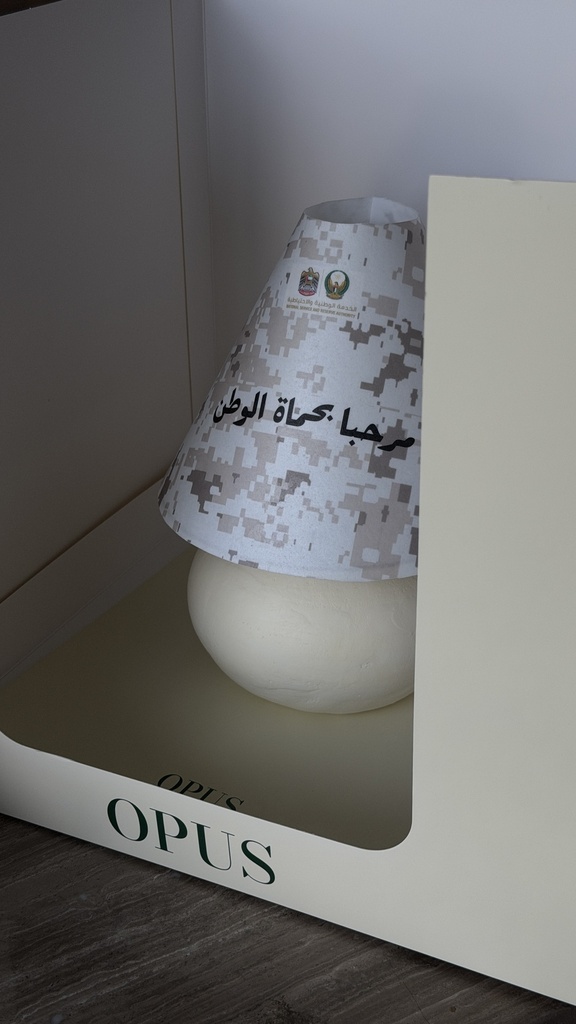 Lamp Cake - National Service