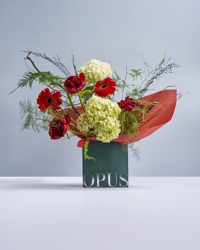 Gerbera Charm