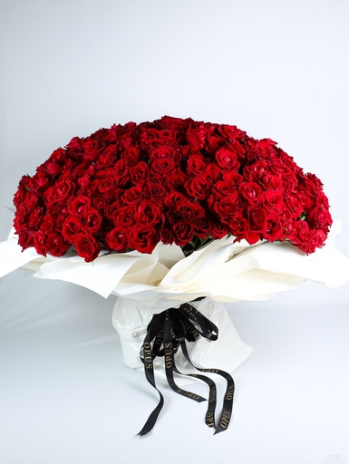 Premium 300 Red Roses