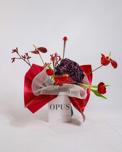 لوتي